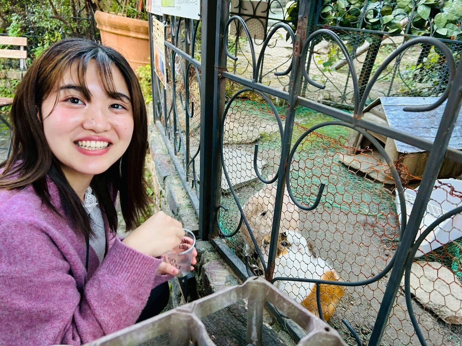 松本　愛優